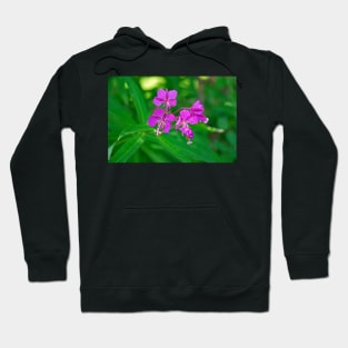 Lavender Fireweed Hoodie